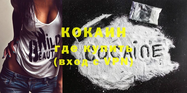 шишки Алексин
