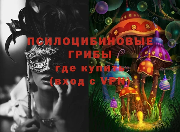 шишки Алексин