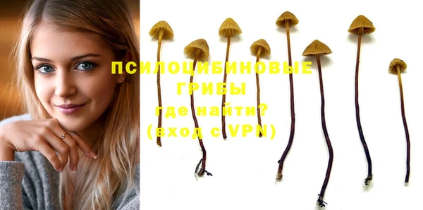 PSILOCYBIN Алзамай