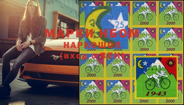 PSILOCYBIN Алзамай