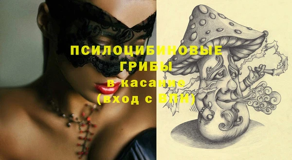 шишки Алексин